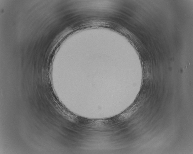 X0000072970828200608211319