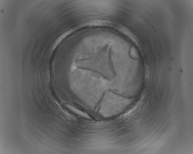 X0000072970829200608211319