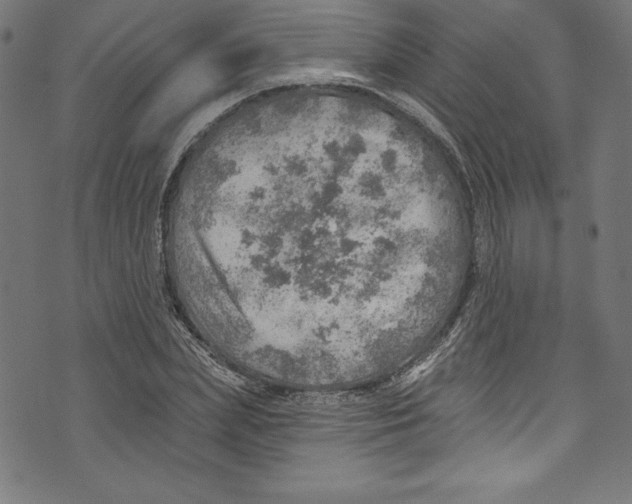 X0000072970831200608211320