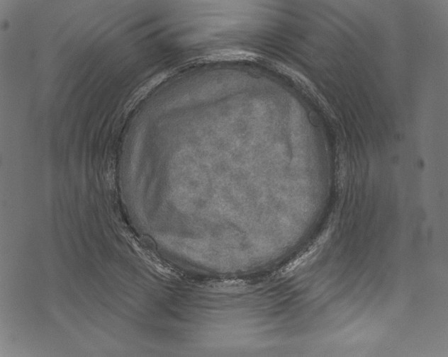 X0000072970833200608211320