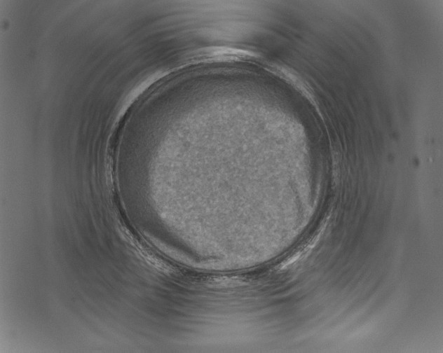 X0000072970835200608211320