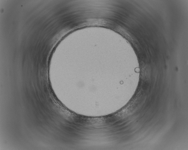 X0000072970836200608211320