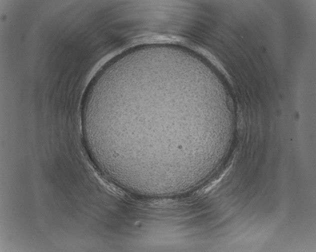 X0000072970837200608211320