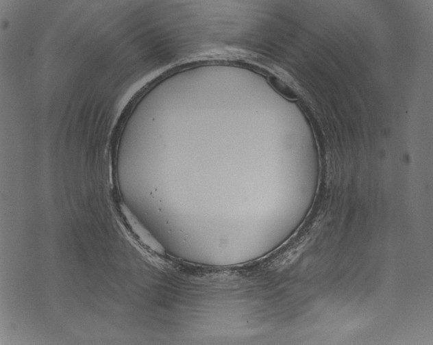 X0000072970838200608211320