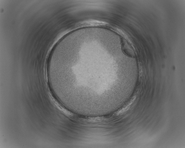 X0000072970843200608211320