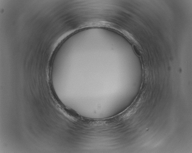 X0000072970846200608211320