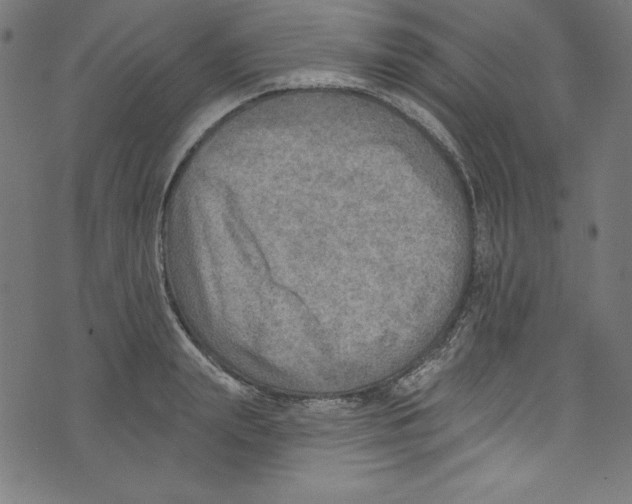 X0000072970847200608211320