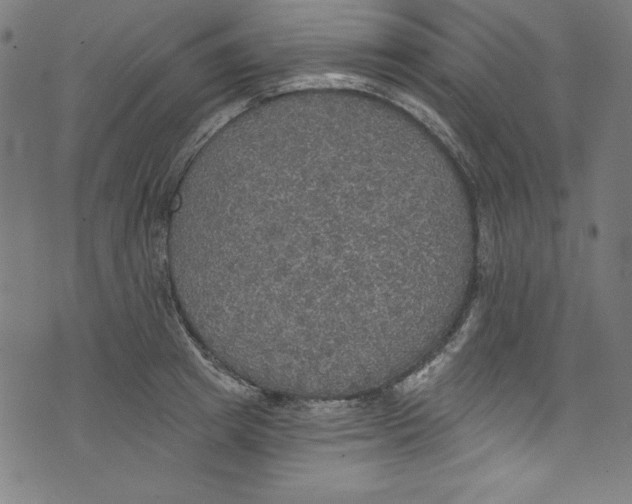 X0000072970849200608211320