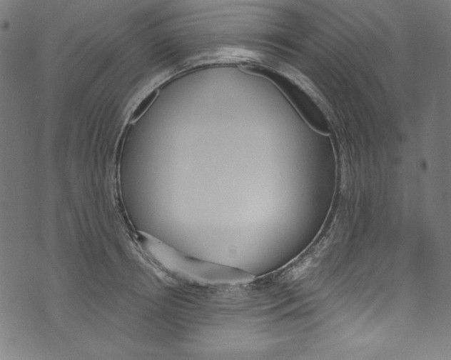 X0000072970850200608211320