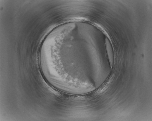 X0000072970851200608211320