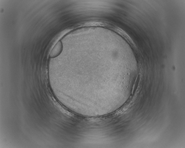 X0000072970852200608211320