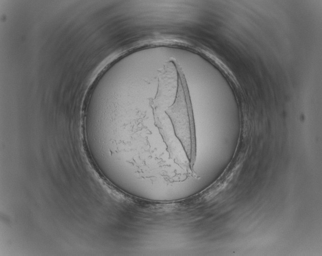 X0000072970853200608211320