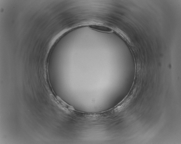 X0000072970854200608211320