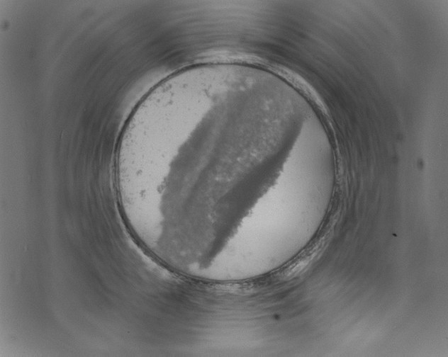 X0000072970855200608211320