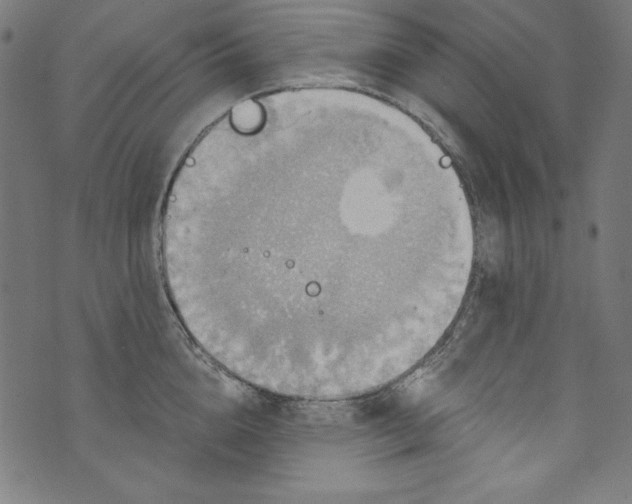 X0000072970856200608211320