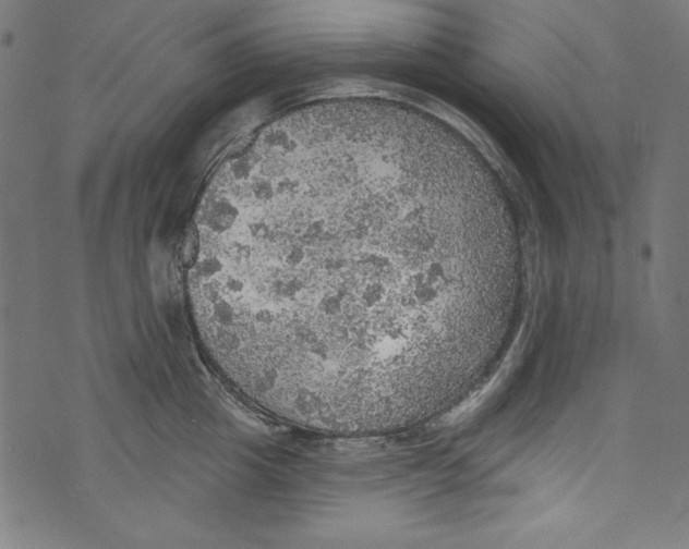 X0000072970857200608211320