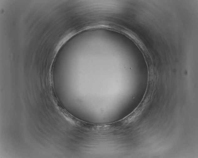 X0000072970858200608211320