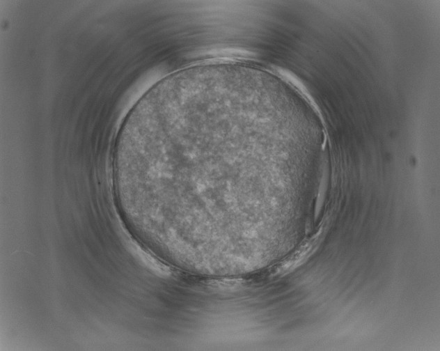 X0000072970859200608211320