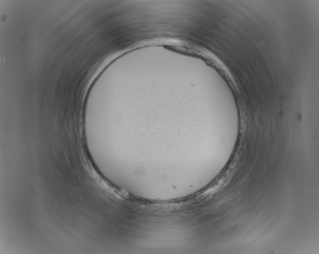 X0000072970860200608211320