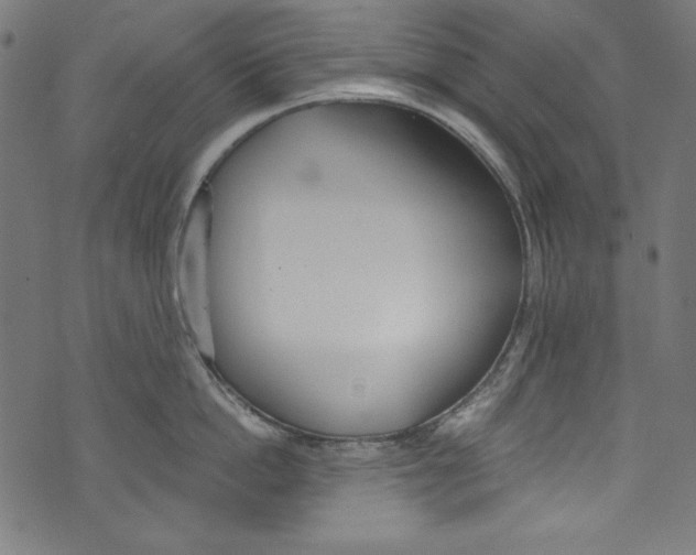 X0000072970862200608211320