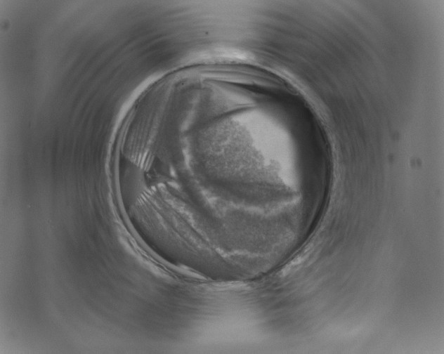 X0000072970864200608211320