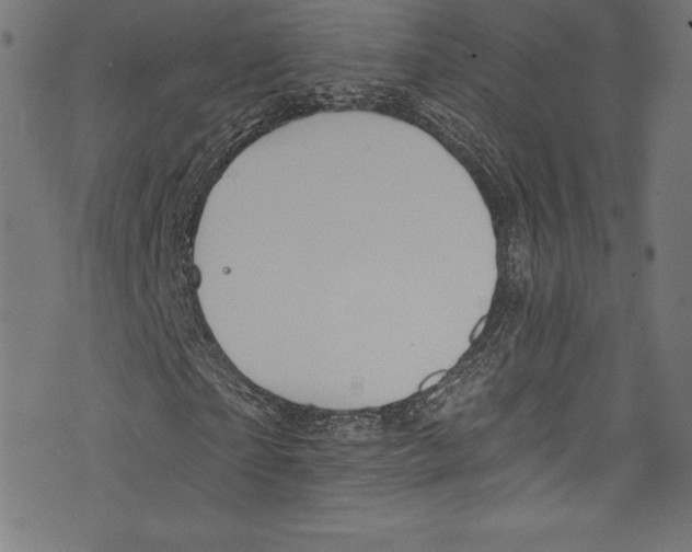 X0000072970865200608211319