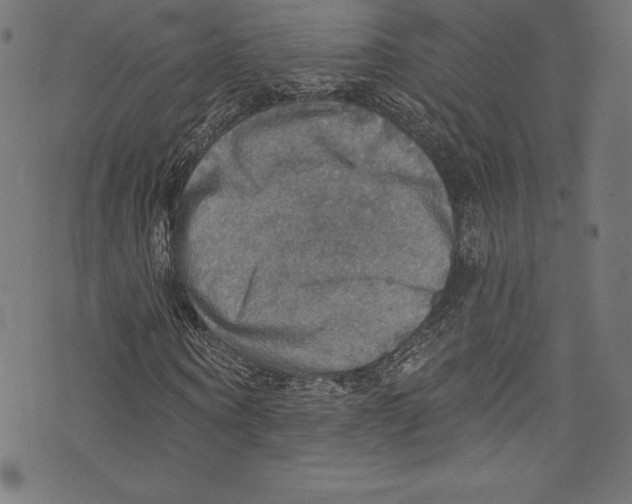 X0000072970866200608211319