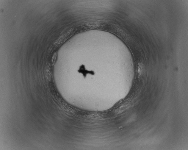 X0000072970867200608211319