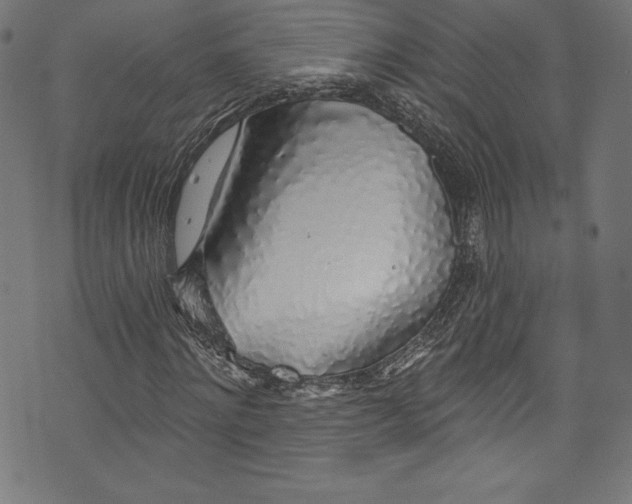 X0000072970868200608211319