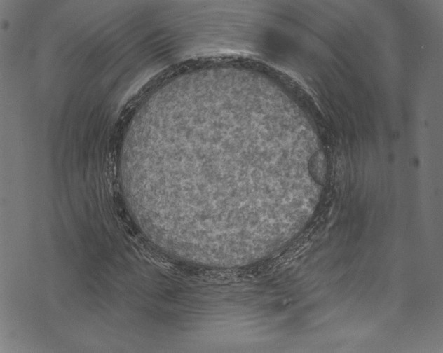 X0000072970871200608211319