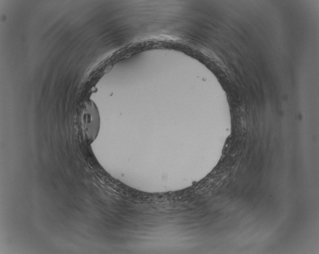 X0000072970872200608211319