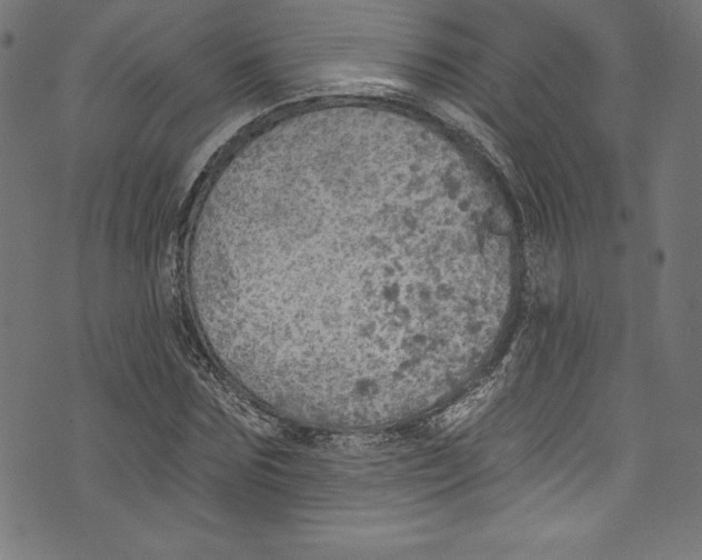 X0000072970875200608211319