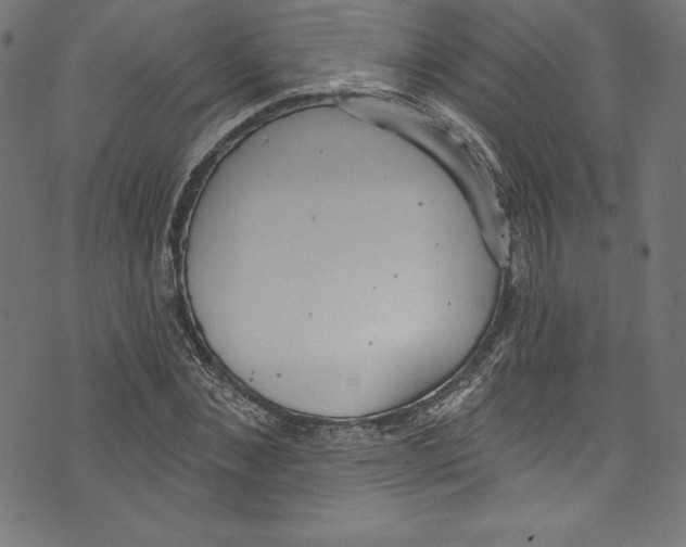 X0000072970876200608211319