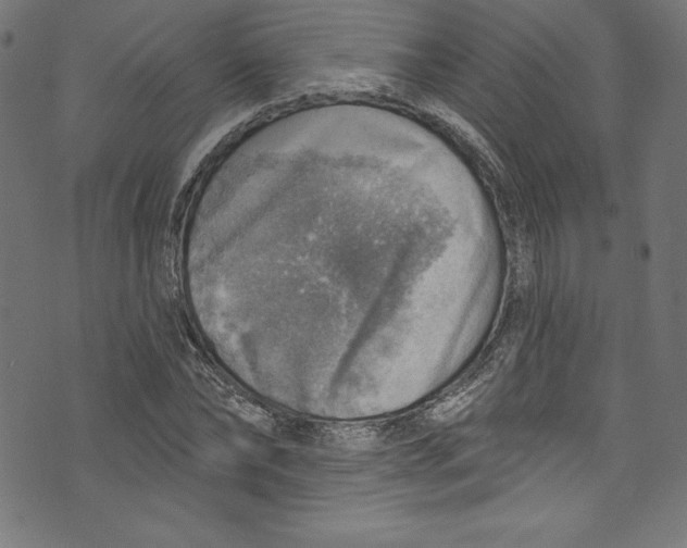 X0000072970878200608211319