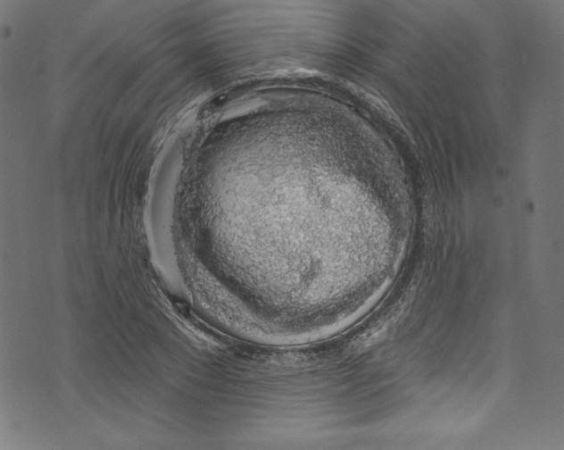 X0000072970881200608211319