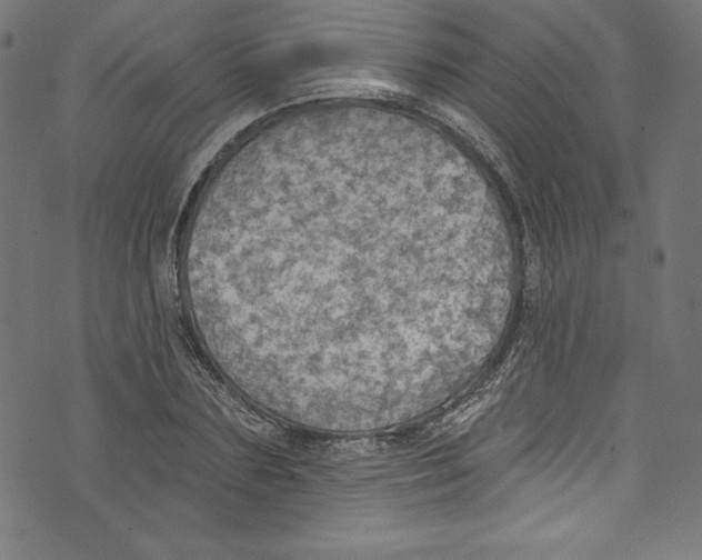 X0000072970883200608211319