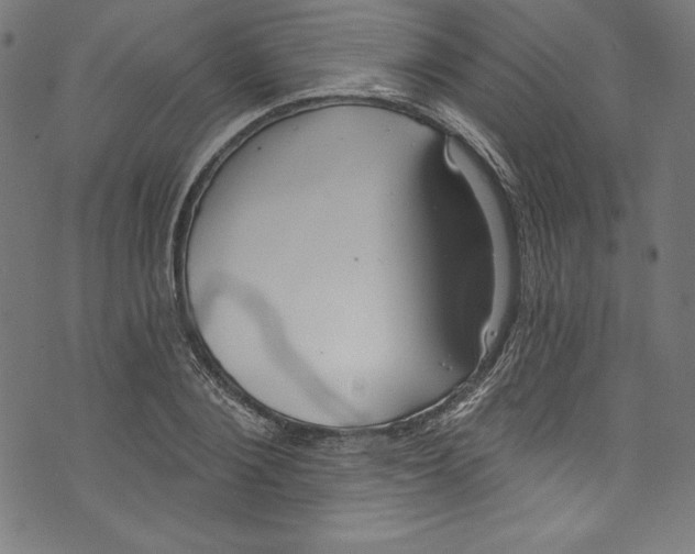 X0000072970884200608211319