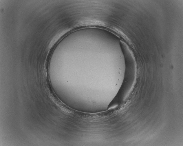 X0000072970885200608211319