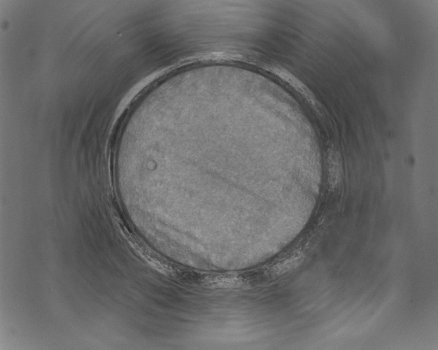 X0000072970886200608211319