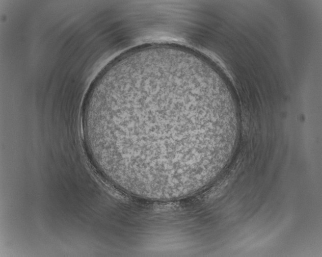 X0000072970887200608211319