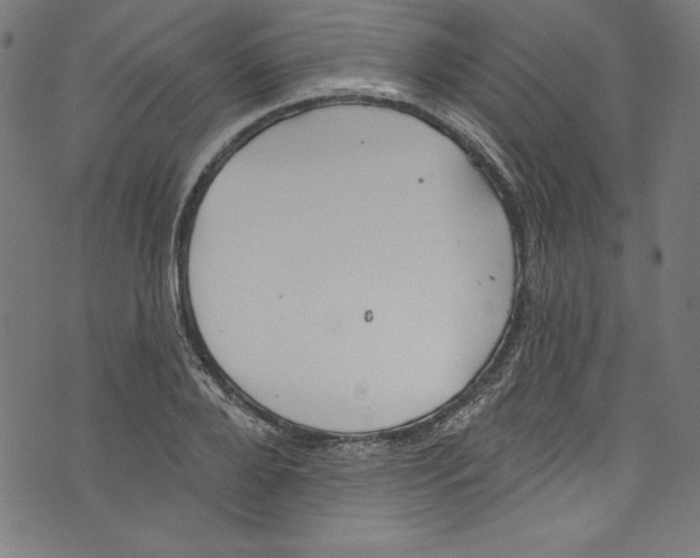 X0000072970888200608211319