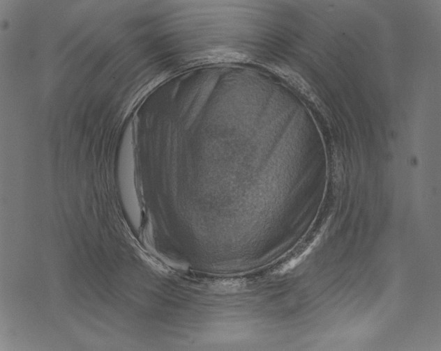 X0000072970889200608211319