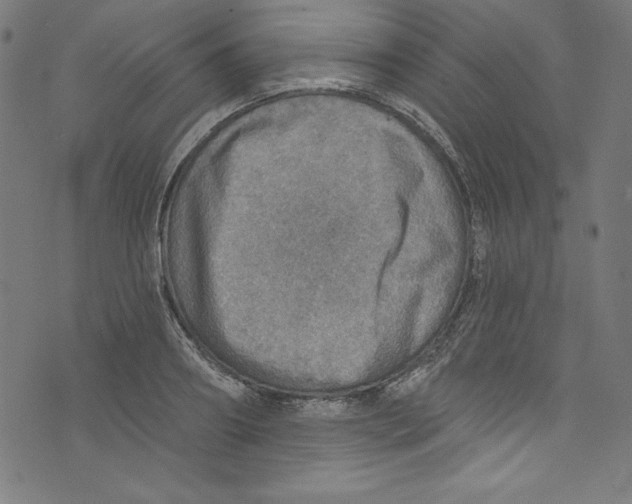 X0000072970890200608211319