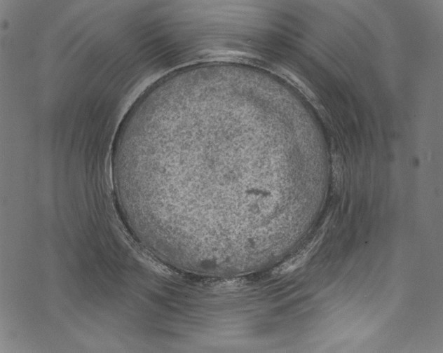 X0000072970891200608211319