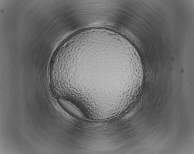 X0000072970892200608211319