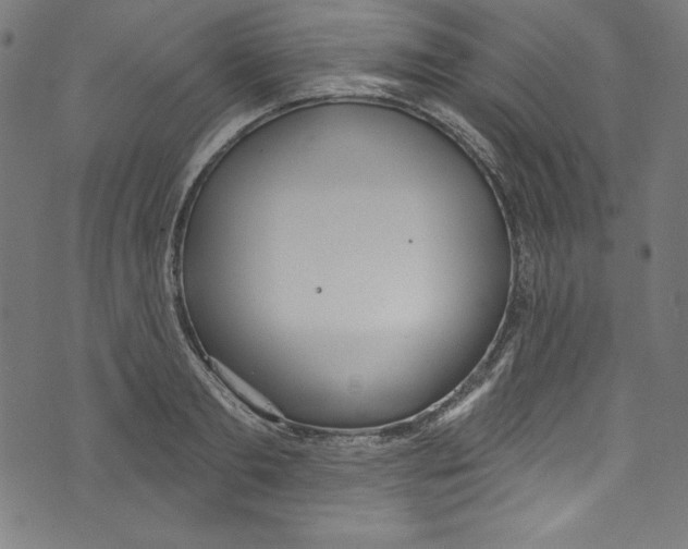 X0000072970893200608211319