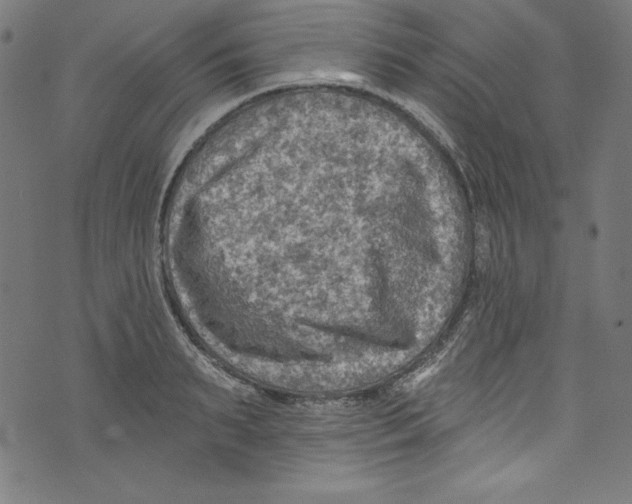 X0000072970895200608211319