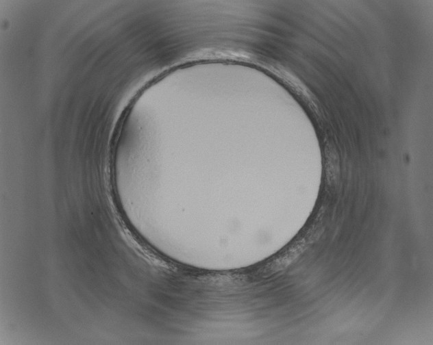 X0000072970896200608211319