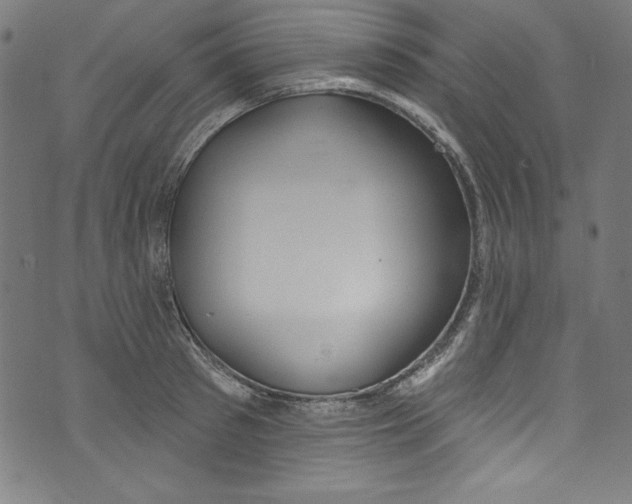 X0000072970897200608211319