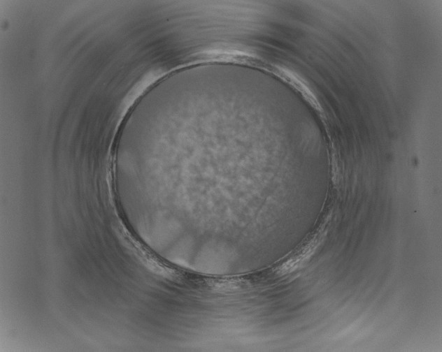 X0000072970899200608211319